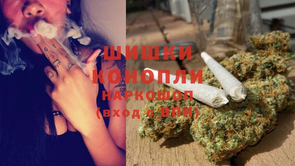 мдпв Богородицк