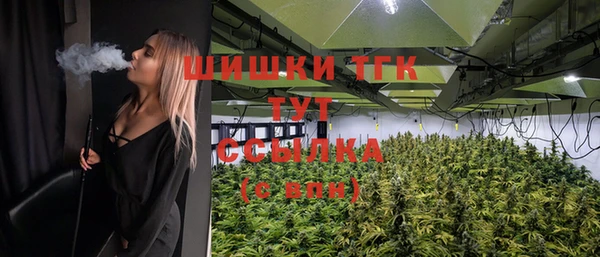 мдпв Богородицк