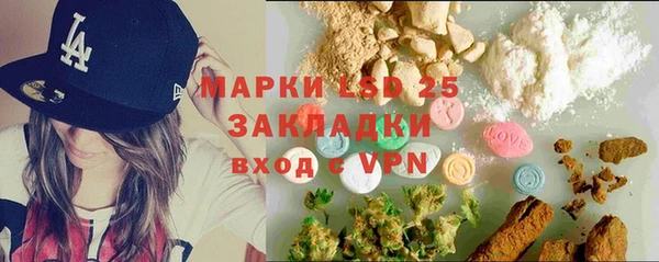 мдпв Богородицк
