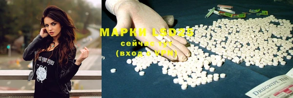 мдпв Богородицк