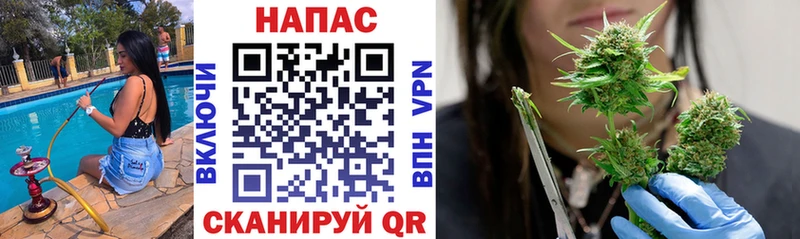 Конопля сатива  где можно купить   Туймазы 